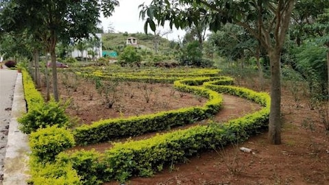 Strolling through National Orchidarium